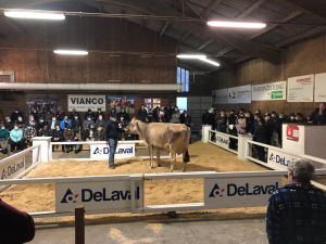 Kt. Nr. 13 Anibal Tochter Annabelle Fr. 3850